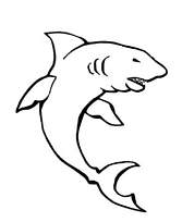 coloriage requin a l affut